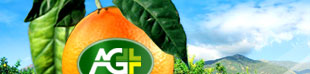 The AGPLUS network. Harvesting the web!